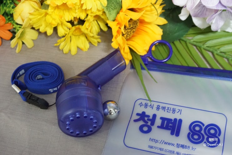  기침 가래제거에 좋은 케이비스토어 청폐88
