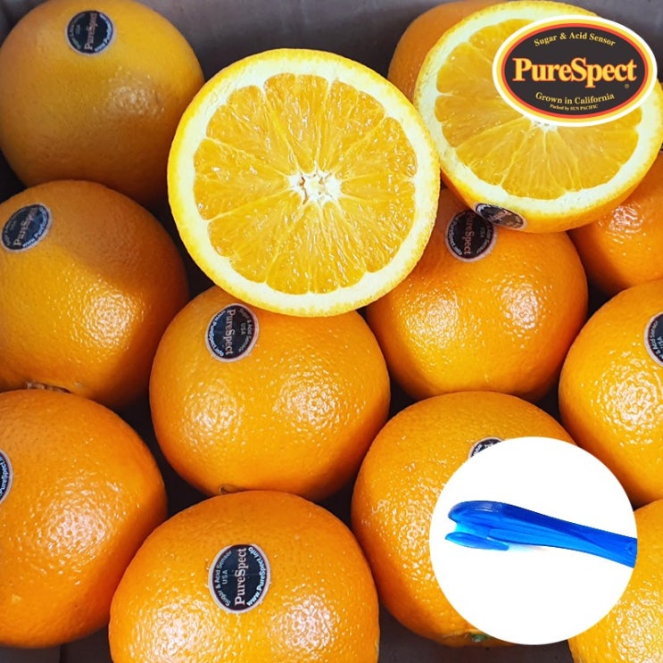 요즘 인기있는 퓨어스펙 블랙라벨 고당도 오렌지 개당160g 12과 오렌지칼 증정 추천합니다