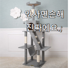  신뢰가는 고양이캣타워 꿀템 순위 강추! 찐입니다.