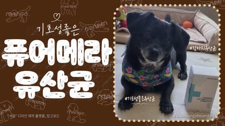 강아지유산균. 기호성 좋은 퓨어메라 유산균. 강아지 설사할때 먹이면 더 좋겠죠. 강아지유산균. 기호성 좋은 퓨어메라 유산균. 강아지 설사할때 먹이면 더 좋겠죠.