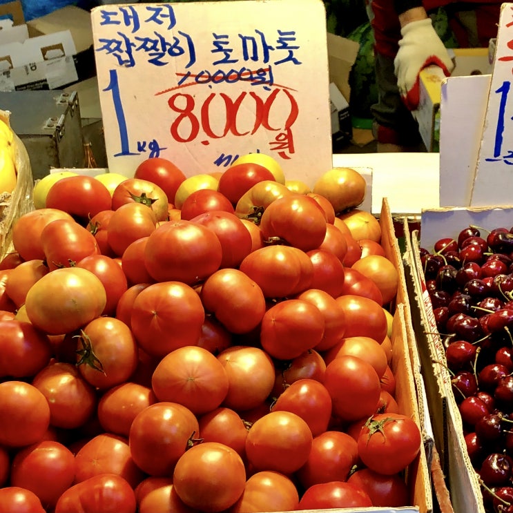  루바토에는 ㅇㅇㅇ이 없다?! [망원/합정 분위기 좋은 예약제 와인바 휠치즈파스타 트러플파스타 프라이빗 식당 레스토랑 내추럴 와인]