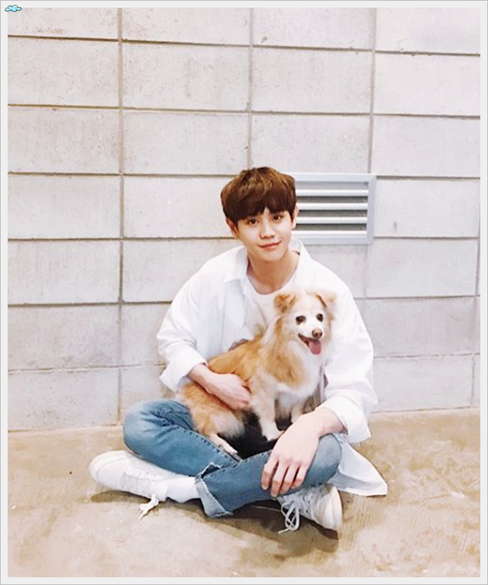 양요섭 나이 키 하이라이트 솔로 컴백 노래 기대중