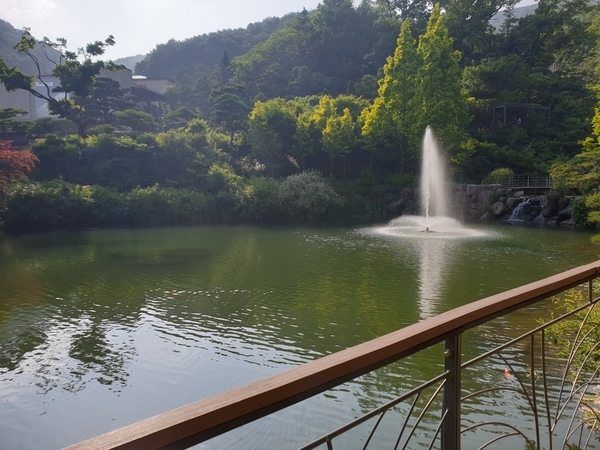  [경기도 광주 여행] 화담숲, 더케이플러스 펜션