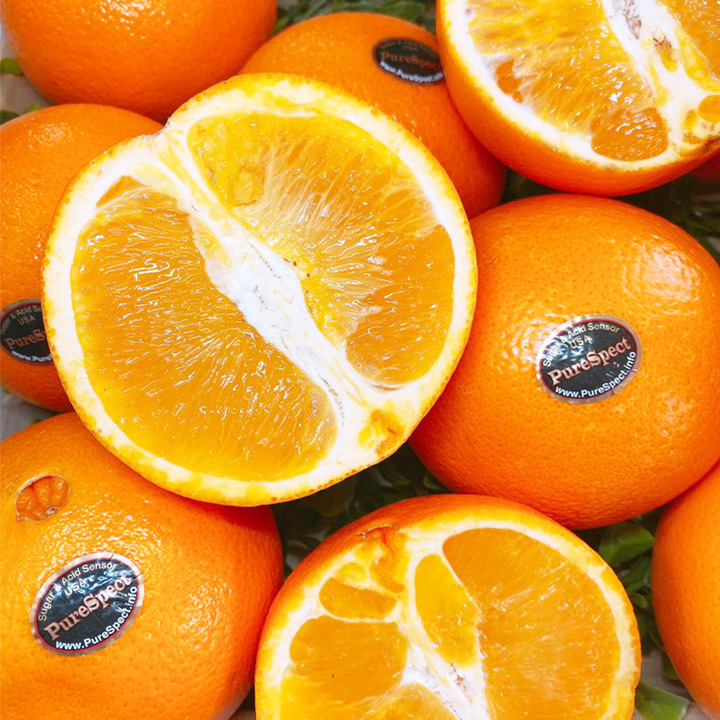 요즘 인기있는 퓨어스펙 블랙라벨 명품 오렌지 1kg 3kg, 01_중 1kg(5과내외) 추천합니다