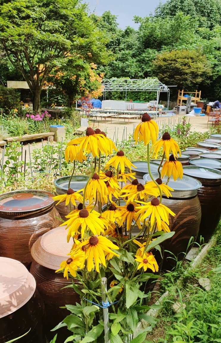  수지 고기리 맛집 산사랑 한정식 오랫만에 다녀왔어요