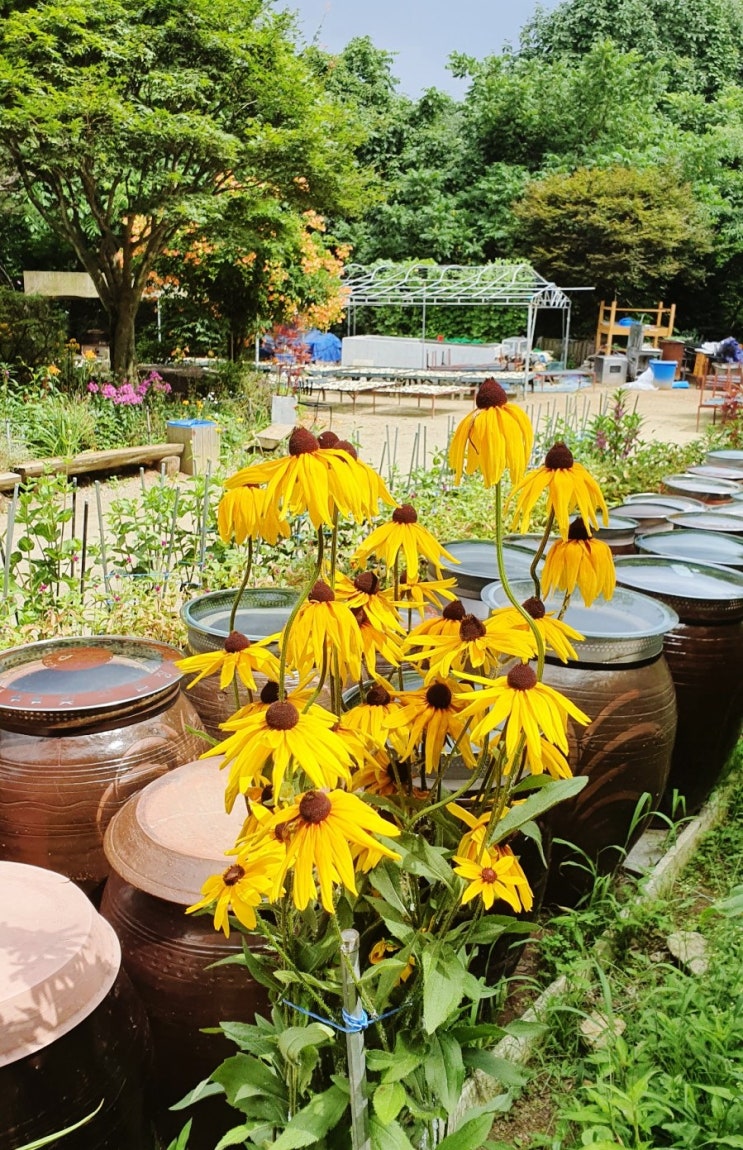 수지 고기리 맛집 산사랑 한정식 오랫만에 다녀왔어요