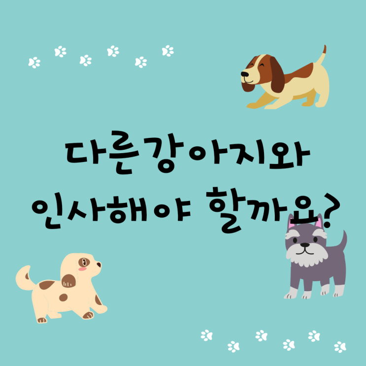  강아지교육 | 산책할 때 다른 강아지와 인사해야 할까요?
