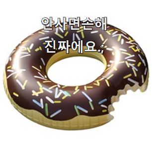  역대최고 물놀이튜브 선택 초이스 완벽해요.