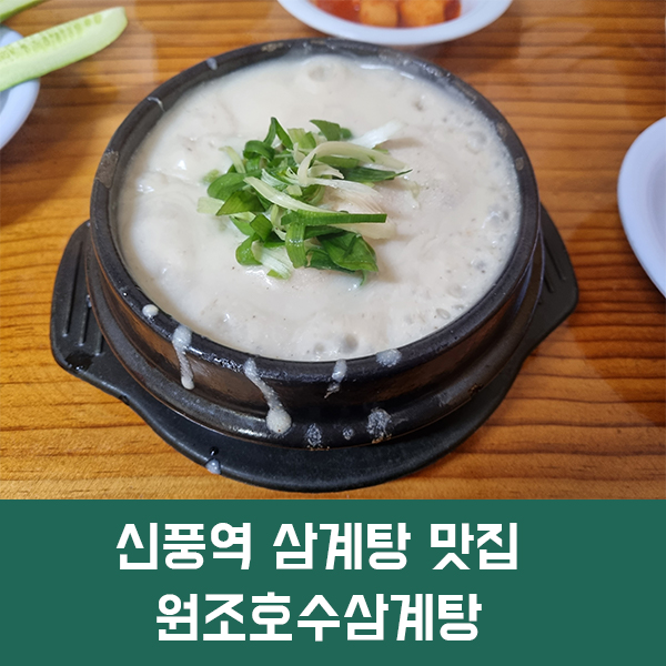  신풍역 삼계탕 맛집 호수삼계탕, 걸쭉한 들깨국물이 인상적인 신풍역 맛집