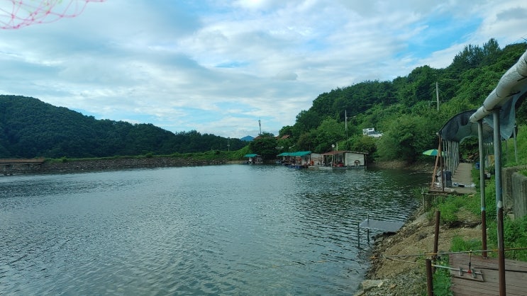  제천 선고지낚시터(입어료, 전경, 숙박)