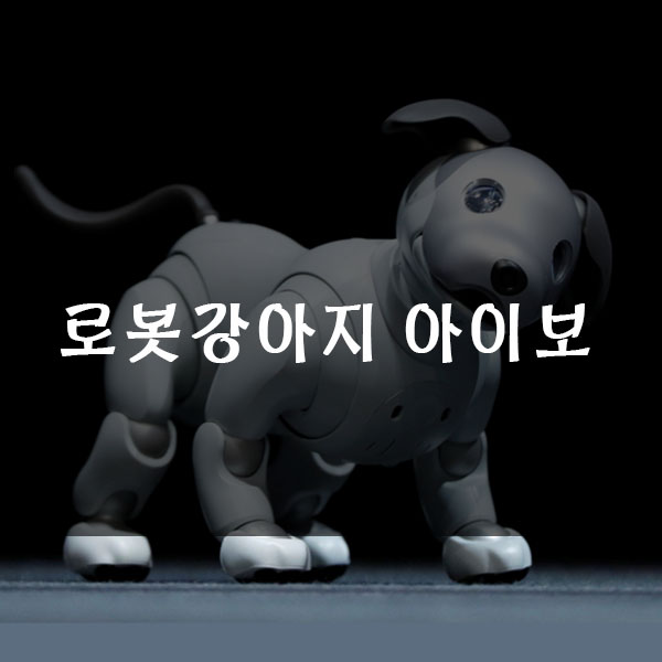  로봇강아지 아이보 알아보기