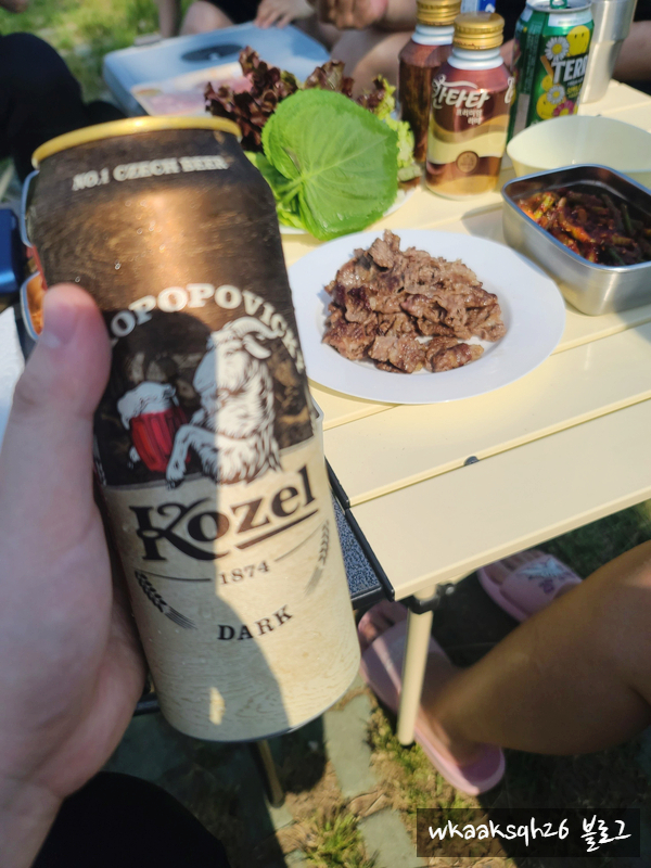  코젤 다크 맥주/코젤다크 쿨러백