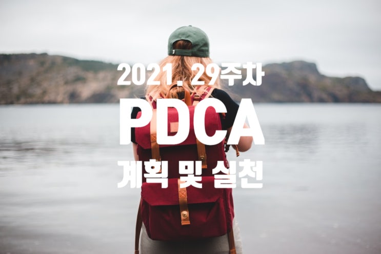  2021년 계획과 실천 29주차 점검[프로가 되자]