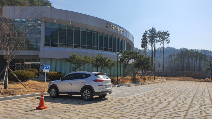  울진금강송에코리움 가족여행 다녀왔어요