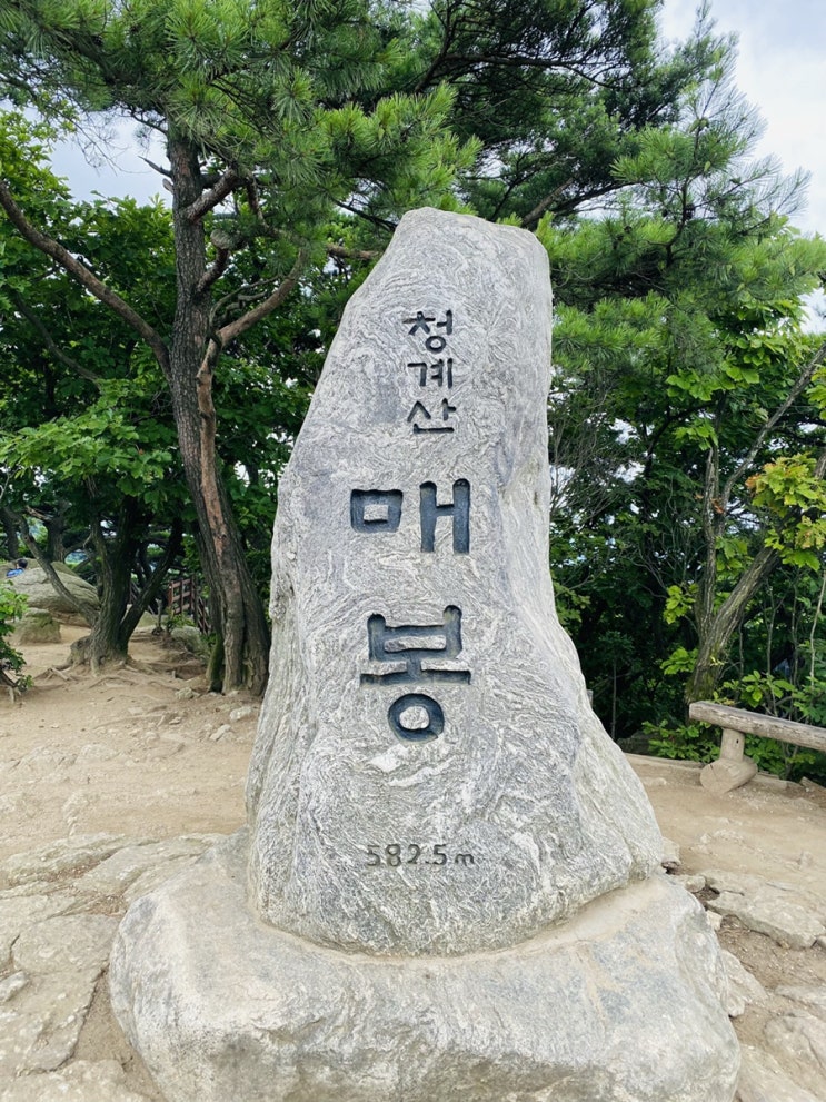  21.07.19 청계산 등산 청계산 등산코스 매봉 주차장 위치