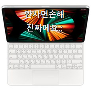  선물하고픈 매직키보드12.9 모두의 선택 만족스럽네요 ㅎㅎ