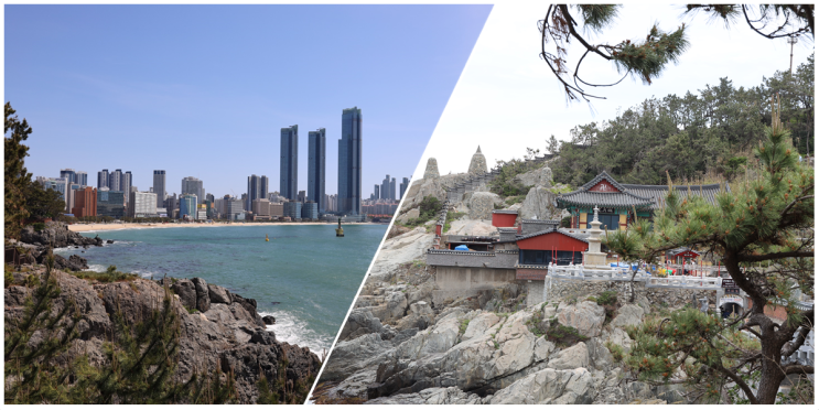  [부산여행 (21년 4월) : 4일차] 동백공원 해안산책로, 해동용궁사