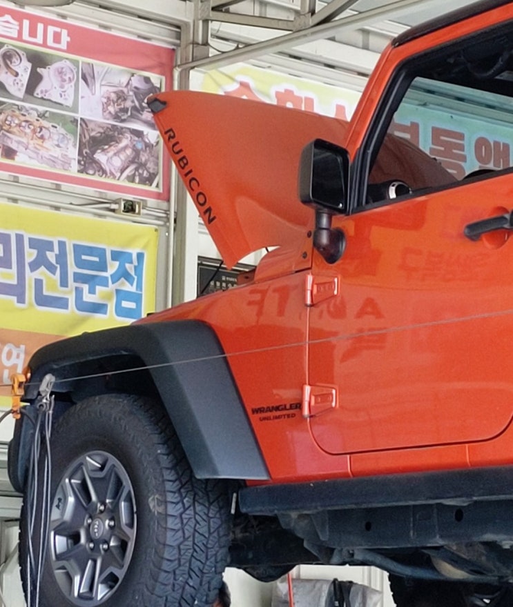  루비의 건강검진2부