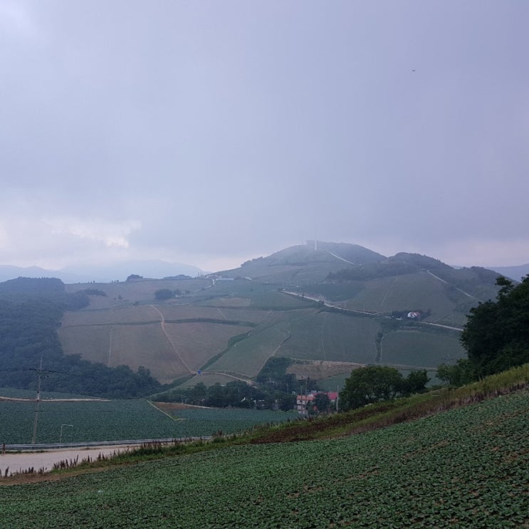  안반데기 폭염도 잊게 만든 추위^^(7.16 별구경)