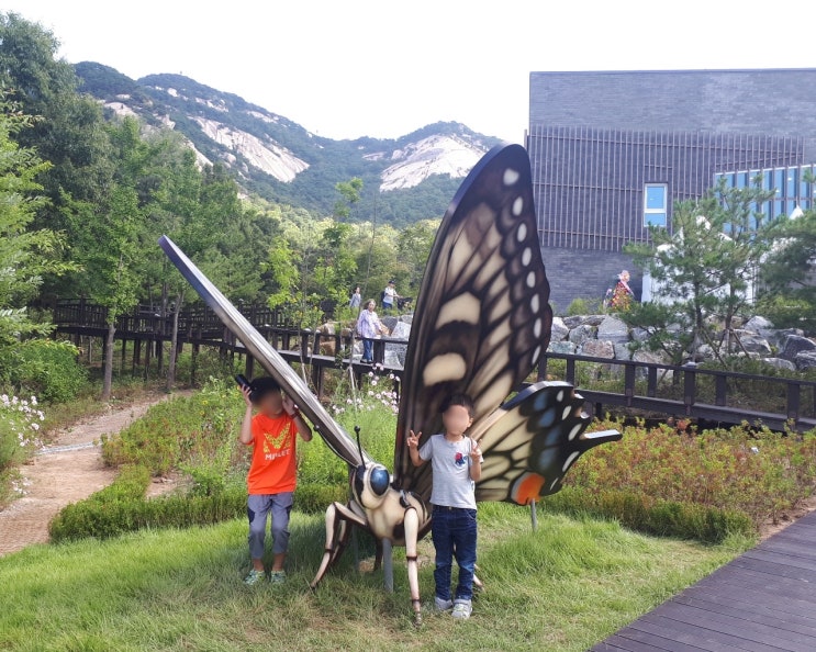 [불암산 나비정원] 산책하기 좋은 곳, 실내전시