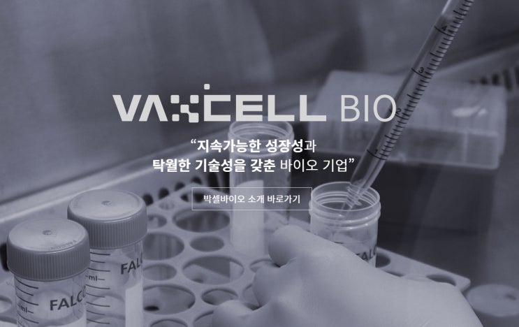 박셀바이오 급등, 암 치료 기술 특허 출원…'초대박' 박셀바이오 급등, 암 치료 기술 특허 출원…'초대박'
