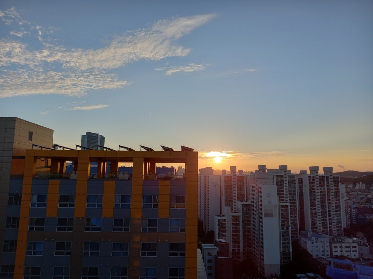 삶과 인생이란 삶과 인생이란