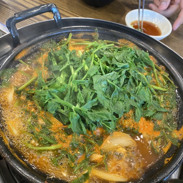 [망포] 망포동 주민 찐맛집 금촌칼국수