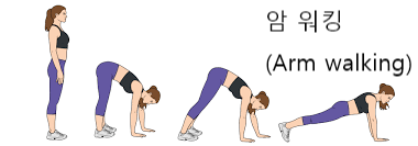 홈트 상체 근력 향상 및 코어 운동! 암워킹에 대해서 산본헬스/산본재활 : 네이버 블로그