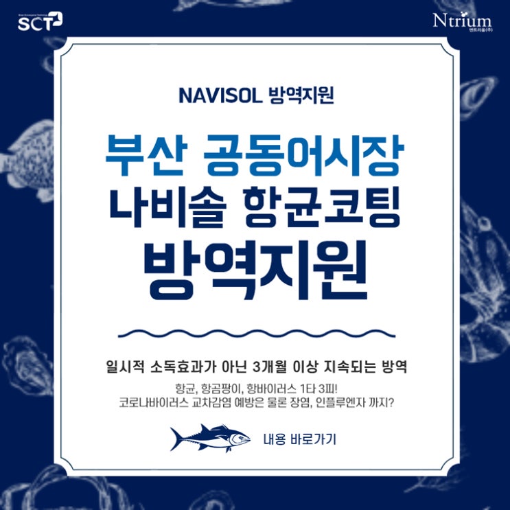  NAVISOL :: 부산 공동어시장 나비솔 코로나 방역지원, 쾌적한 환경을 위한 한 걸음!