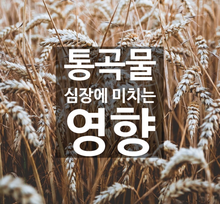  통곡물이 심장에 미치는 영향