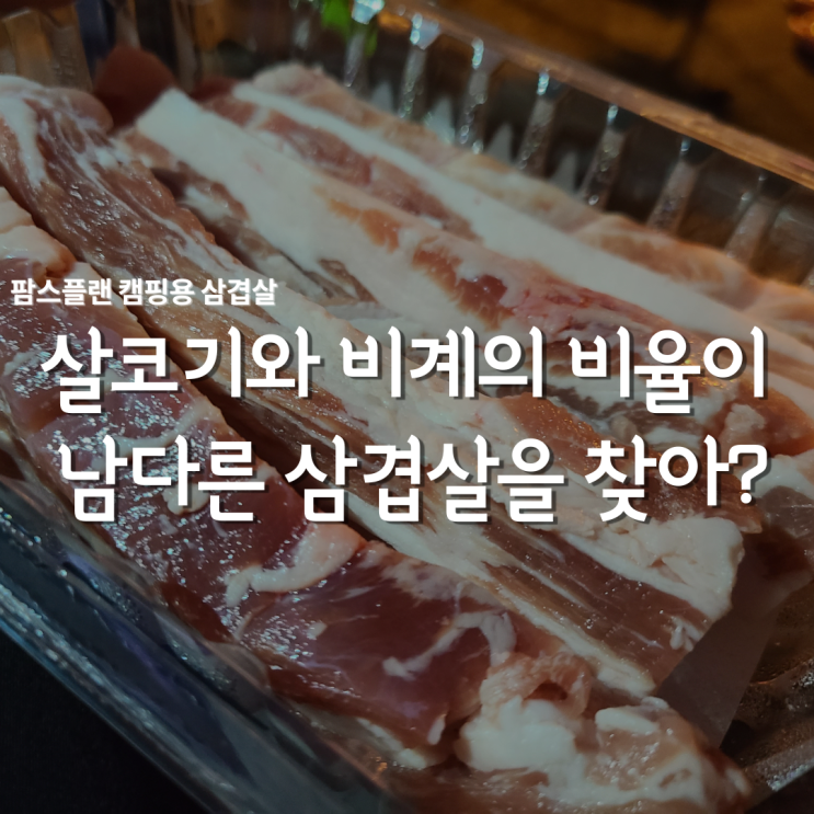  팜스플랜미트 한돈 삼겹살 구이로 캠핑을 즐겨보았습니다! #저녁메뉴추천 음식