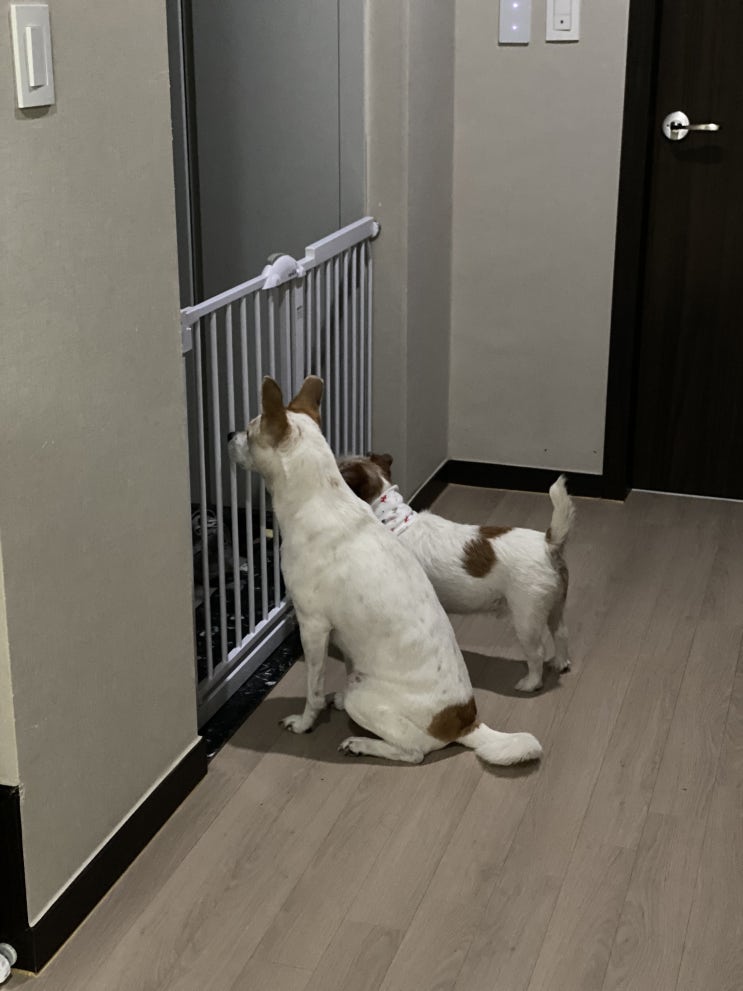  새리의 이모 사랑^^