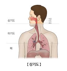 산소마스크종류 적응증 주의사항 호흡종류 체위배액 산소유통속도