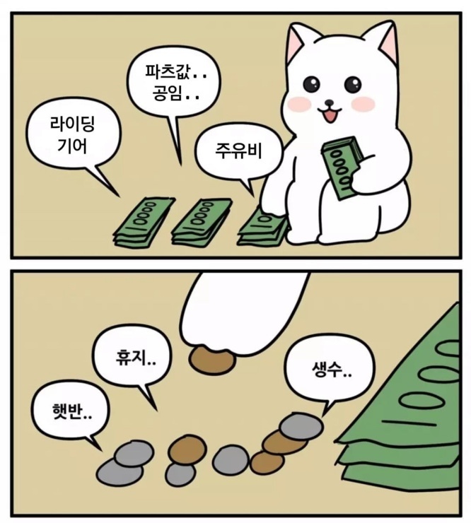  튜닝충의 최후