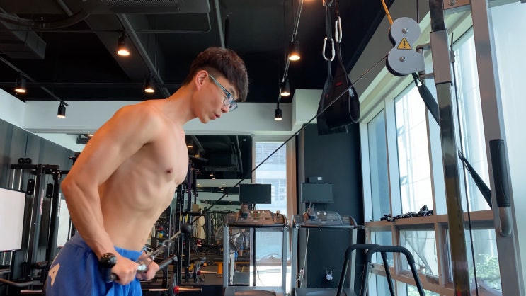  등 운동의 유일한 고립 운동 암 풀 다운
