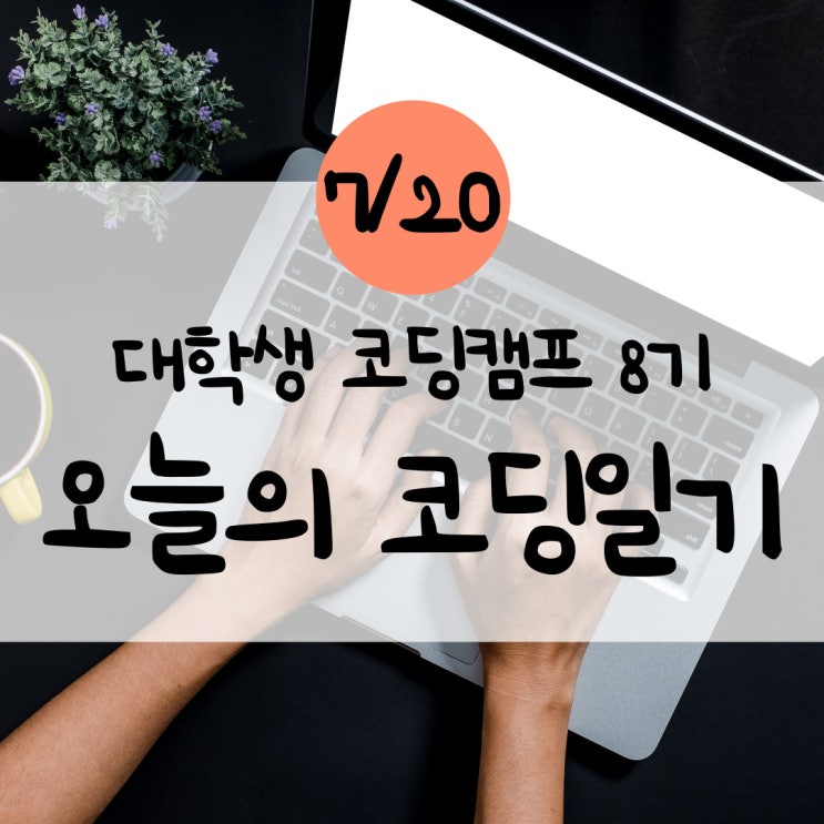  [코딩일기 3일차] 대코캠 대학생코딩캠프 8기 오늘의 코딩일기(Dynamic typing언어, Static typing 언어)