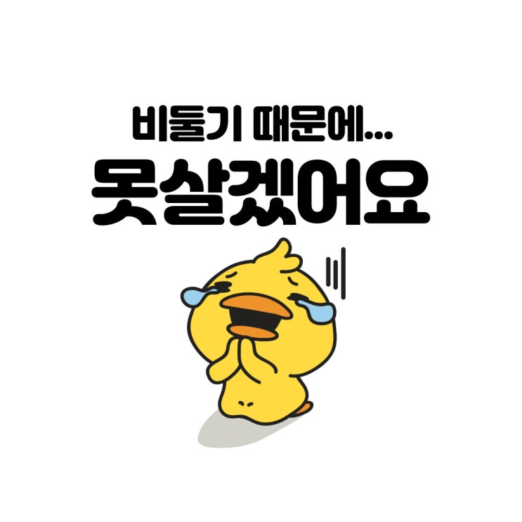  비둘기퇴치법 모르면 손해볼수도 있다고?!