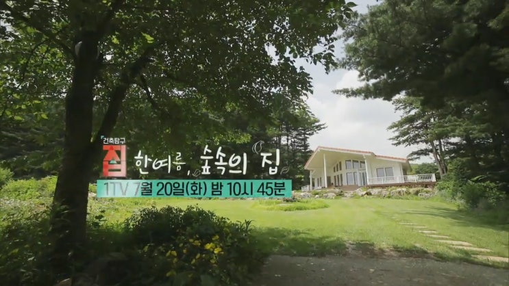 한여름 숲속의 집 조립식 로그하우스 vs 남편이 직접지은 숲속 목조주택 EBS 건축탐구 집 한여름 숲속의 집 조립식 로그하우스 vs 남편이 직접지은 숲속 목조주택 EBS 건축탐구 집