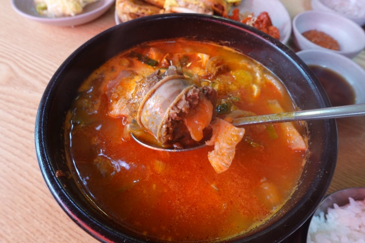  속초 아바이 마을 신다신 대기 없이 다녀온 솔직후기