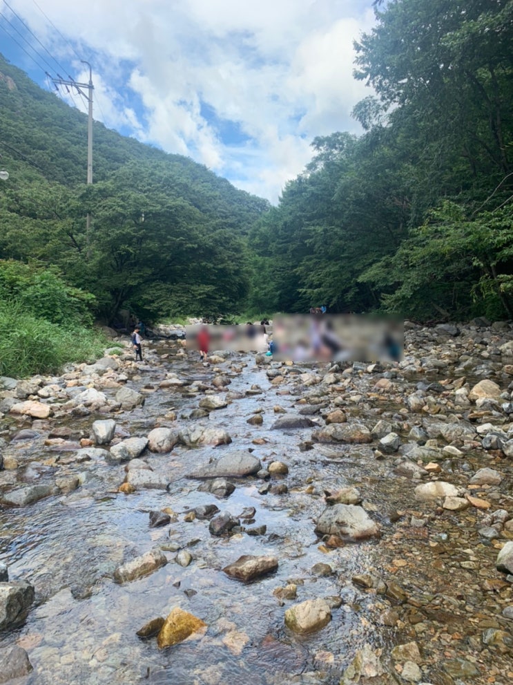  [기장장안사계곡] +다이소어항용산소공급기+송사리