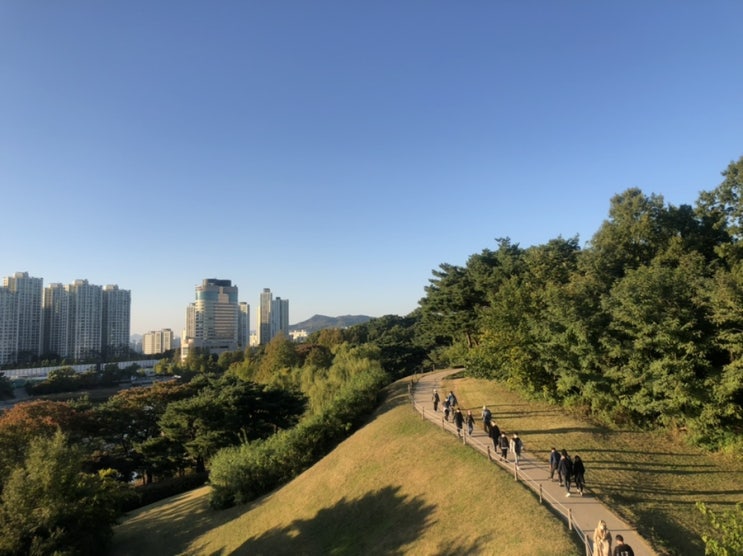 가을에 가기 좋은 핑크뮬리 올림픽 공원