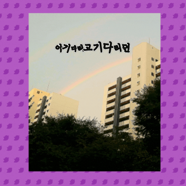  아기다리고기다리던 애드핏 입금날