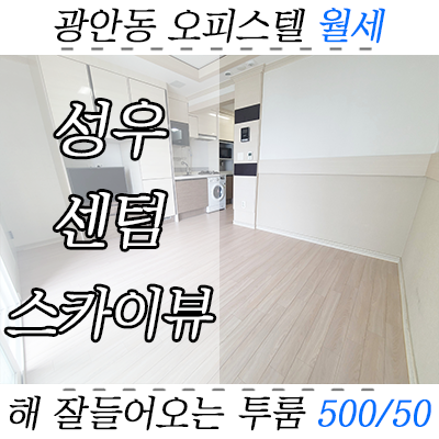 수영구 투룸 오피스텔 : 광안동 성우센텀스카이뷰A 풀옵션+대로변