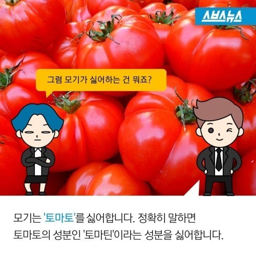  여름의 불청객 모기의 비밀