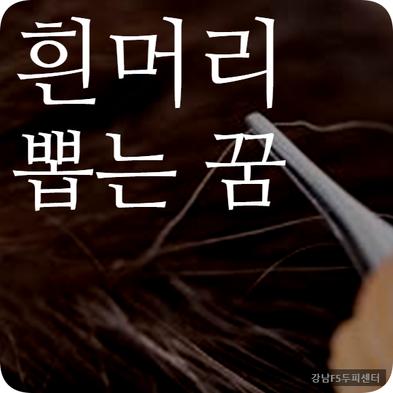 흰머리 뽑는 꿈 해몽
