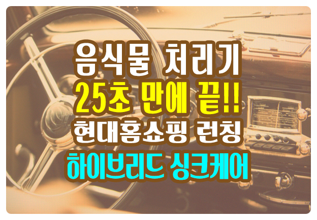 하이브리드 싱크케어 25초 음식물 처리기 현대홈쇼핑 이용후기 창업 하이브리드 싱크케어 25초 음식물 처리기 현대홈쇼핑 이용후기 창업