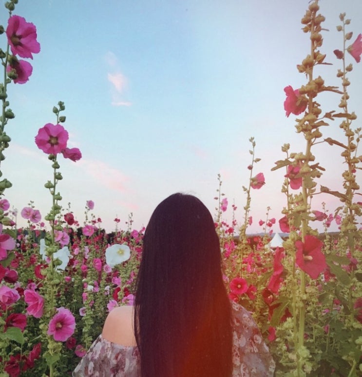  수아곡