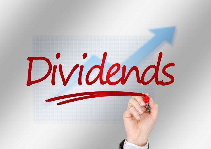 배당 관련 영어 표현  dividend yield, payout ratio, dividend per share(DPS)