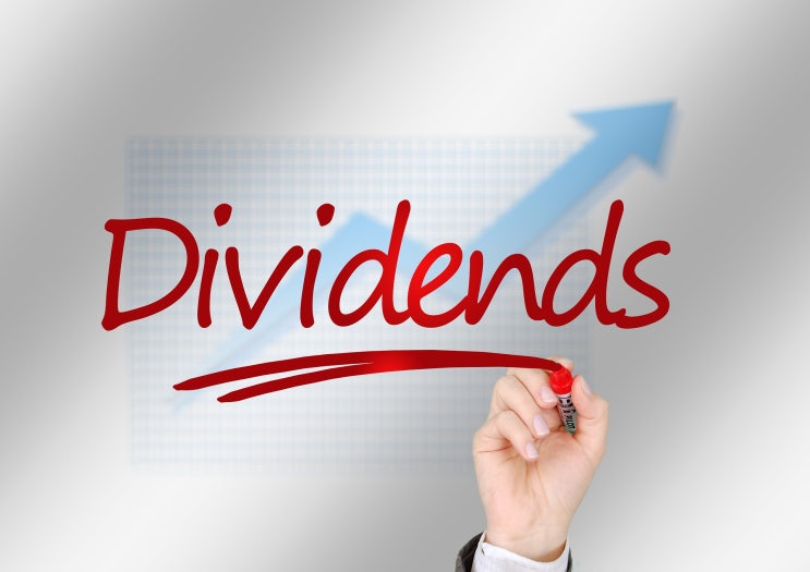  배당 관련 영어 표현  dividend yield, payout ratio, dividend per share(DPS)