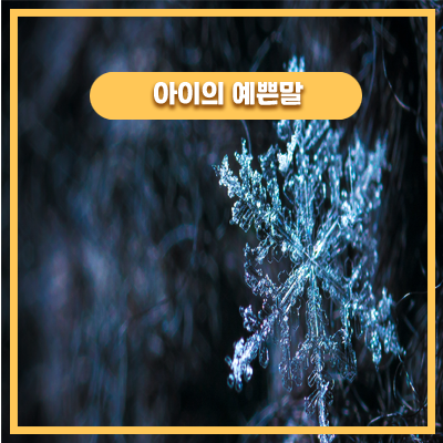  렛잇고와 겨울왕국 드레스